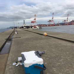 マナーが悪すぎますね