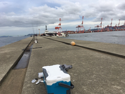 マナーが悪すぎますね