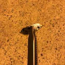 濁りがきつい…