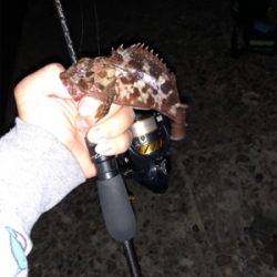 高砂ガシリング