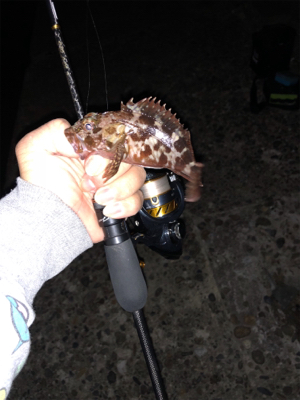 高砂ガシリング