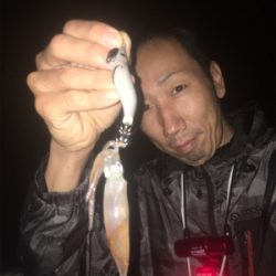 剣先イカナイトゲーム♪