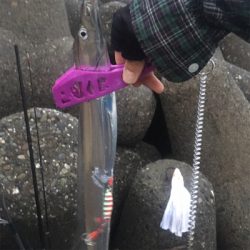 2018年タチウオゲーム開幕