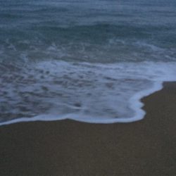 久々のシーバス