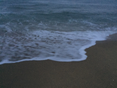 久々のシーバス