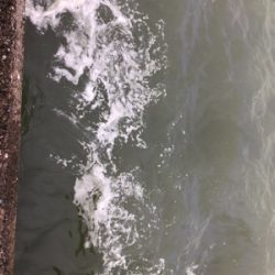 台風明けて初めての釣行