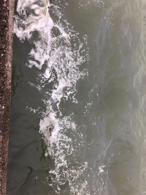 台風明けて初めての釣行