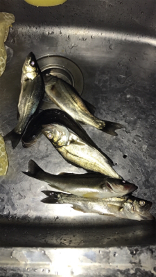 暇つぶしのライトゲーム