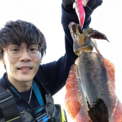 男鹿半島椿港アオリイカエギング