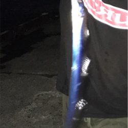 マイポイントでタチウオ開幕！