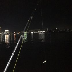 ひっさびさタチウオ釣行