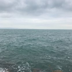 仕事終わりに。