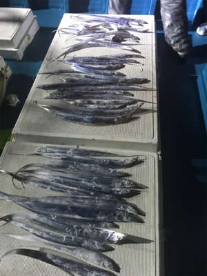 heyheyshipさん利用しました