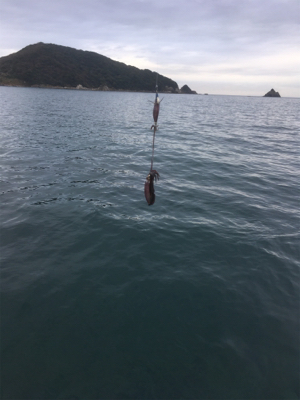 まだまだ小さい