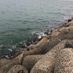 この後時期。いつもなら…