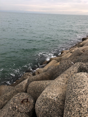 この後時期。いつもなら…