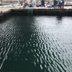 田尻の釣堀で半日コース