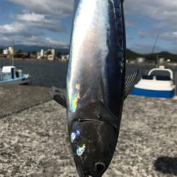 日中ショアジギング