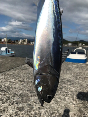 日中ショアジギング