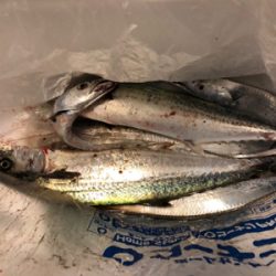 強風でしたが…