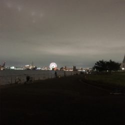 なんとか釣れた