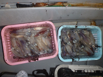 初イカメタル釣行