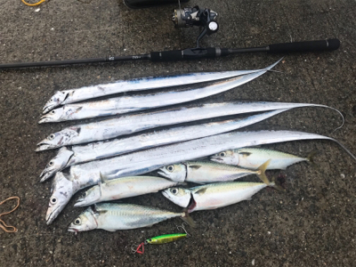 太刀魚@神戸港♫