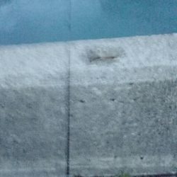 初ナイトエギング