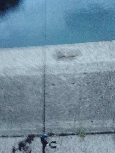 初ナイトエギング