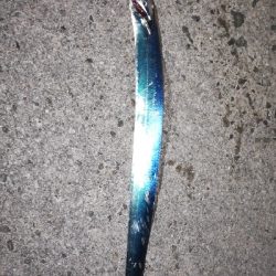 タチウオワインド