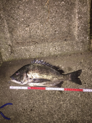 仕事帰りに1時間だけ