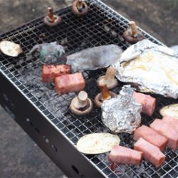 今年初のエギング