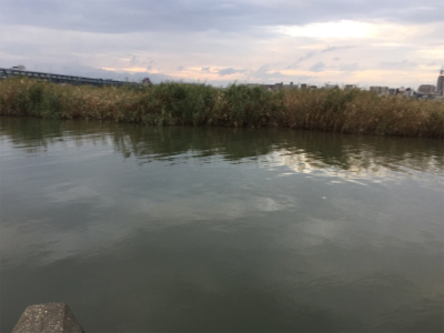 ハゼ釣り面白い！