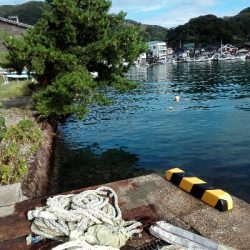 朝から暇だ〜笑笑