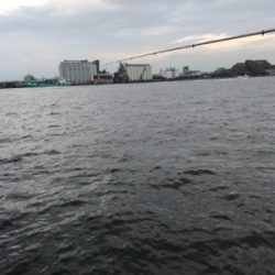 ぼっち釣行.昼からサヨリ釣り