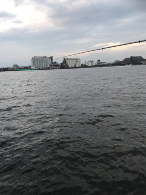 ぼっち釣行.昼からサヨリ釣り