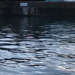 まさに夕まずめ