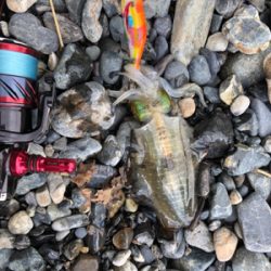 親父たちの釣行第11弾