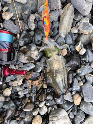 親父たちの釣行第11弾