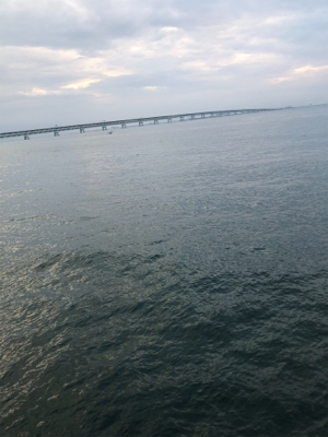 小アジ、タチウオ釣り