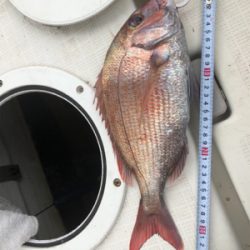 タイラバ勝利！