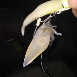 タチウオ ワインド