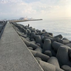 ミニタチウオ祭り