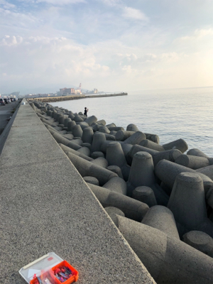 ミニタチウオ祭り