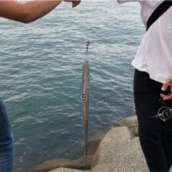 タチウオ爆釣！！