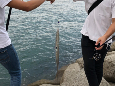 タチウオ爆釣！！