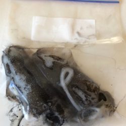 うーん、なかなか