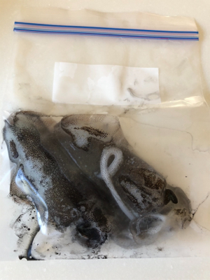 うーん、なかなか