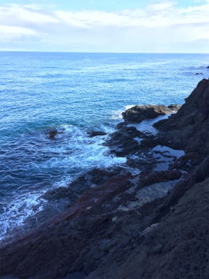 朝マズメエギング