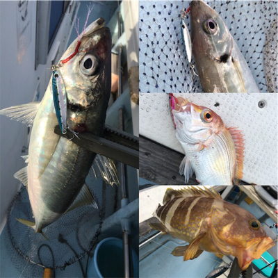 若狭和田沖 五目釣り&イカメタル